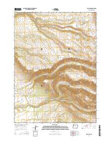 2014 Map of Fish Lake, 2014 Print