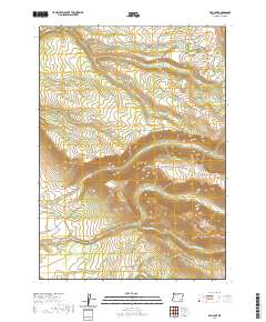 2020 Map of Fish Lake, 2020 Print