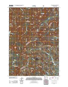 2011 Map of Fish Mountain, 2011 Print