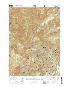 2014 Map of Fish Mountain, 2014 Print