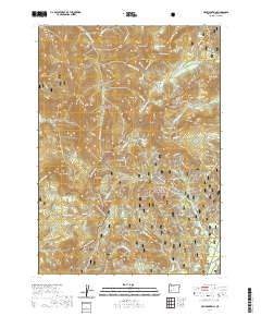 2020 Map of Fish Mountain, 2020 Print