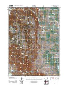 2011 Map of Fitzwater Point, 2011 Print