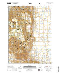 2020 Map of Fitzwater Point, 2020 Print