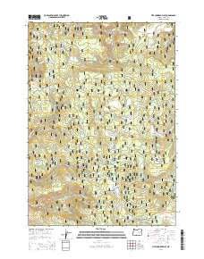 2014 Map of Five Hundred Flat, 2014 Print