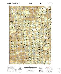 2020 Map of Five Hundred Flat, 2020 Print