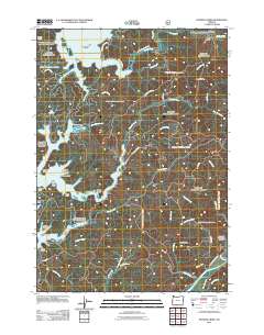2011 Map of Fivemile Creek, 2011 Print