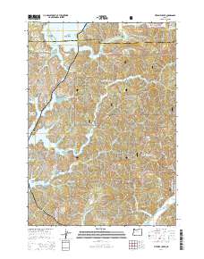 2014 Map of Fivemile Creek, 2014 Print