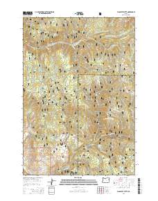 2014 Map of Flagstaff Butte, 2014 Print