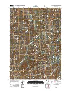 2011 Map of Flagtail Mountain, 2011 Print