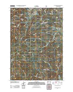 2011 Map of Flat Mountain, 2011 Print