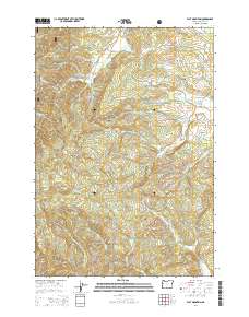 2014 Map of Flat Mountain, 2014 Print