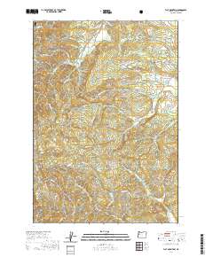 2020 Map of Flat Mountain, 2020 Print
