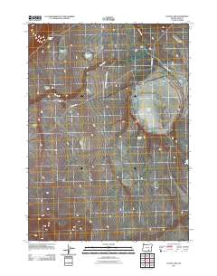 2011 Map of Flook Lake, 2011 Print