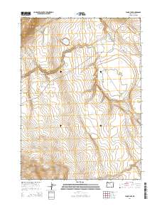 2014 Map of Flook Lake, 2014 Print