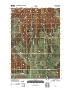 2011 Map of Flora, 2011 Print