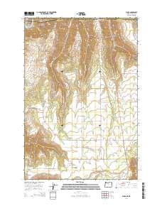 2014 Map of Flora, 2014 Print