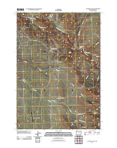 2011 Map of Flowers Gulch, 2011 Print