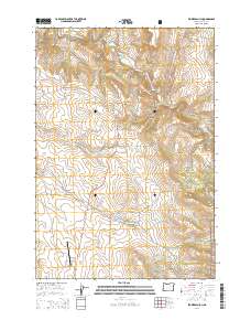 2014 Map of Flowers Gulch, 2014 Print