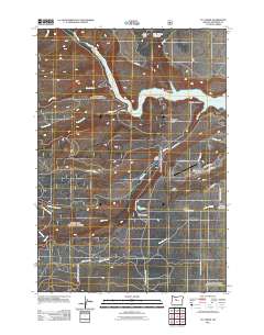 2011 Map of Fly Creek, 2011 Print