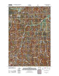 2011 Map of Fly Valley, 2011 Print