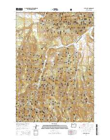 2014 Map of Fly Valley, 2014 Print
