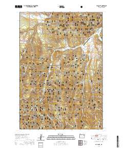 2020 Map of Fly Valley, 2020 Print