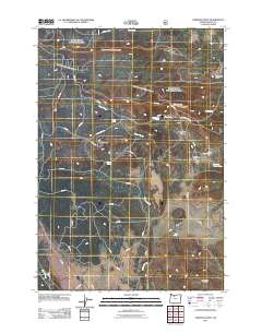 2011 Map of Foreman Point, 2011 Print