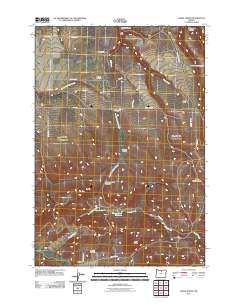 2011 Map of Fossil North, 2011 Print