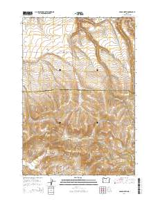 2014 Map of Fossil North, 2014 Print