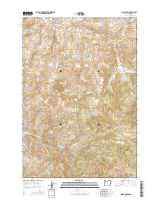 2014 Map of Fossil South, 2014 Print