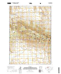2020 Map of Fox, 2020 Print