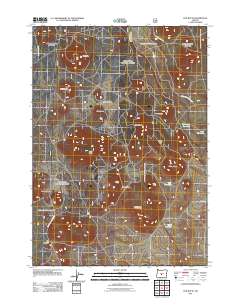 2011 Map of Fox Butte, 2011 Print