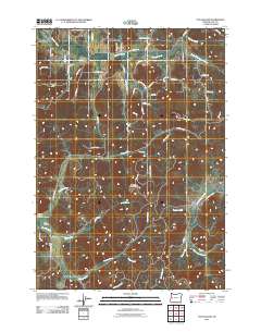 2011 Map of Fox Hollow, 2011 Print