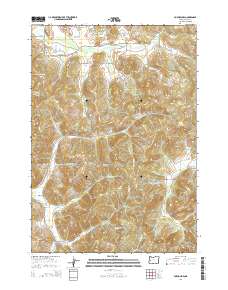 2014 Map of Fox Hollow, 2014 Print