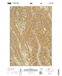 2020 Map of Fox Point, 2020 Print