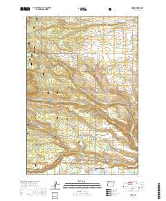 2020 Map of Friend, 2020 Print