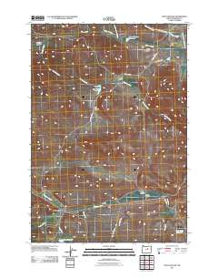 2011 Map of Frog Hollow, 2011 Print