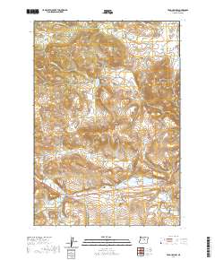 2020 Map of Frog Hollow, 2020 Print