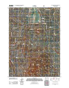 2011 Map of Fuego Mountain, 2011 Print