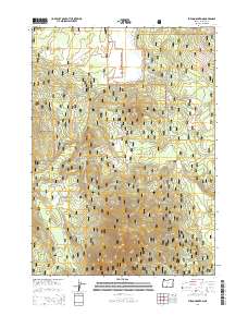 2014 Map of Fuego Mountain, 2014 Print