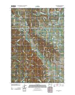 2011 Map of Gales Creek, 2011 Print
