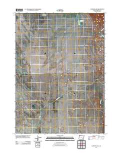 2011 Map of Garrison Lake, 2011 Print