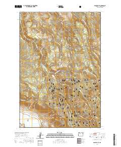 2020 Map of Gasset Bluff, 2020 Print