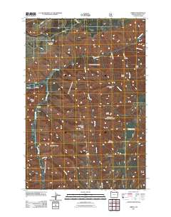 2011 Map of Gibbon, 2011 Print