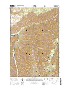 2014 Map of Gibbon, 2014 Print