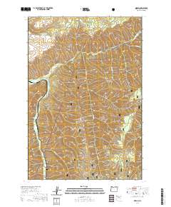 2020 Map of Gibbon, 2020 Print