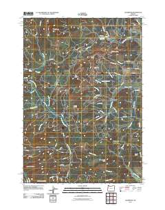 2011 Map of Glenbrook, 2011 Print