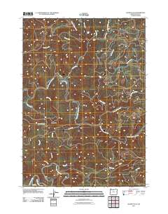 2011 Map of Golden Falls, 2011 Print
