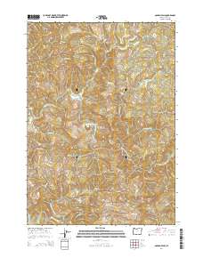 2014 Map of Golden Falls, 2014 Print
