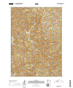 2020 Map of Golden Falls, 2020 Print